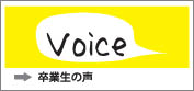 卒業生の声
